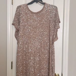 Adrianna Papell beaded and sequin special occasion dress size 22w, never worn.